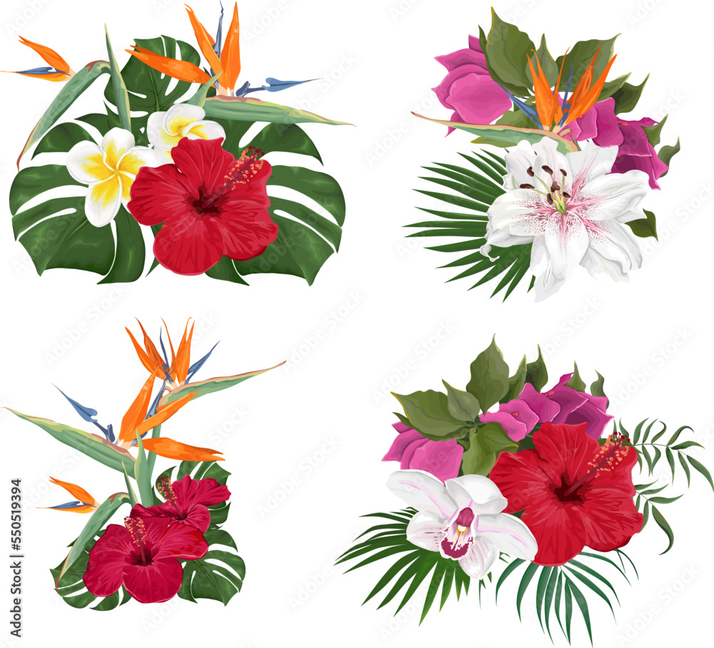 Vector collection of compositions of flowers on a white background. Bougainvillea, frangipani, strilicia, hibiscus, lilies, orchids. Green tropical leaves of monsters and palm trees 