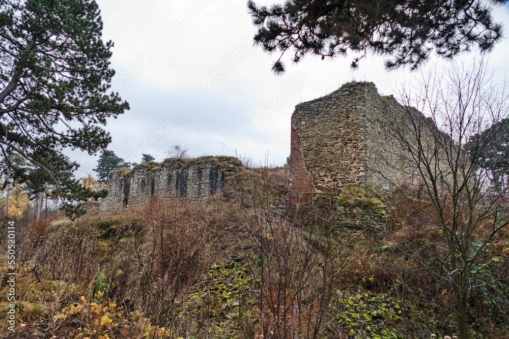 ruin of an old castle in nature