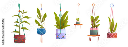 Macrame hangers with house plants in pots. Houseplants, flowers with green leaves in handmade holders from rope isolated on white background, vector cartoon set