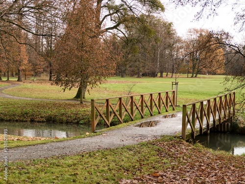 Fototapeta Naklejka Na Ścianę i Meble -  pedestrian bridge over a small river