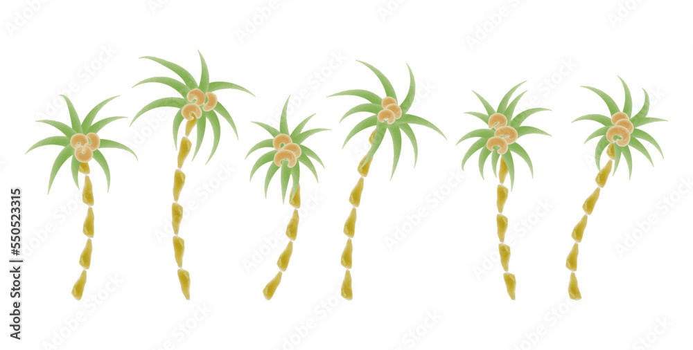 palm tree set isolated on white watercolor brush textured palm tree set isolated on white watercolor brush textured