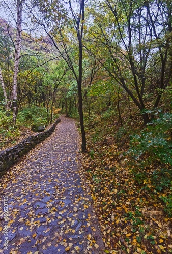 Wallpaper Mural autumn Torontodigital.ca