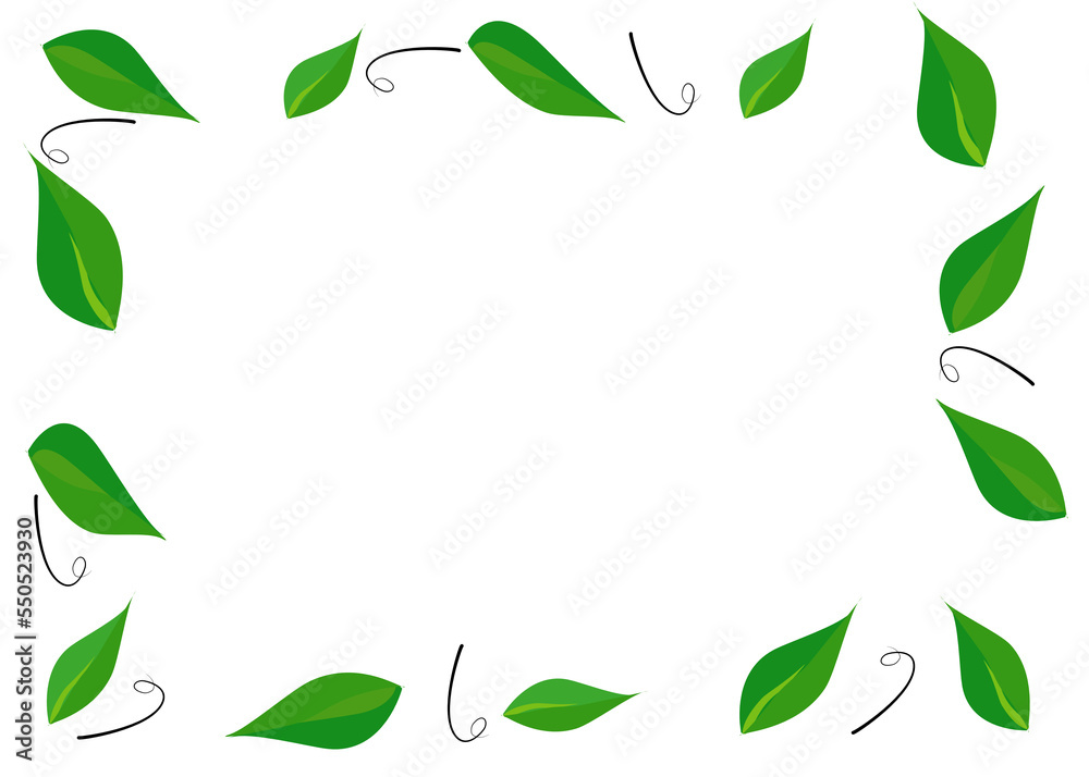 Obraz premium Drawing green leaves . isolate on white background. Copy space for your text and your business.
