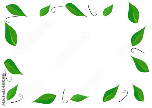 Drawing green leaves . isolate on white background. Copy space for your text and your business.