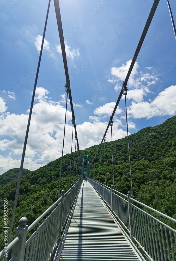 Obraz premium Landscape