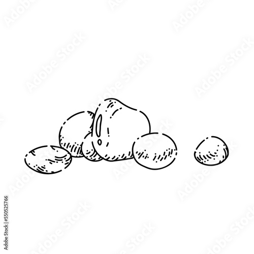 pebble sketch hand drawn vector rock stone, beach river round sand, oval