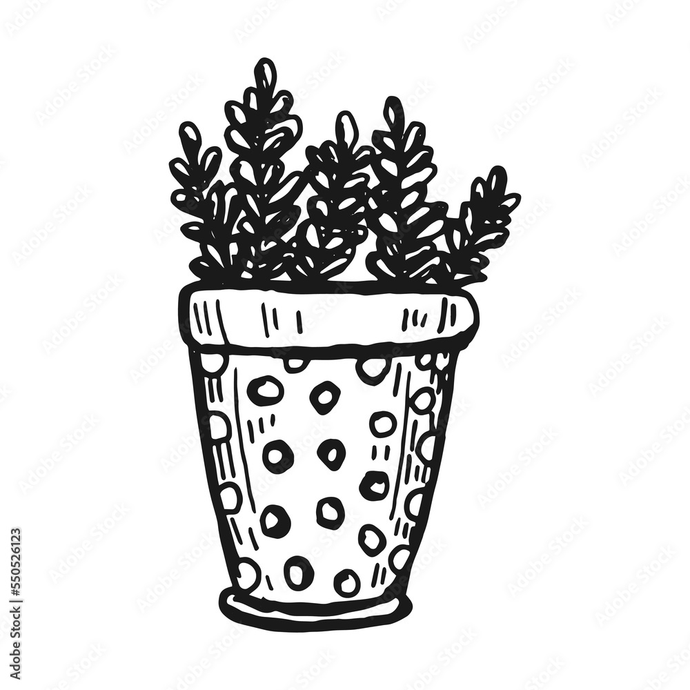 Flower in a Pot. Simple Doodle illustration. Isolated element for your design. Flower in a Pot. Simple Doodle illustration. Isolated element for your design.