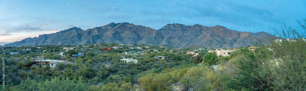 Panorama of a mountainside neighborhood with green plants and trees outdoors at Tucson, Arizona