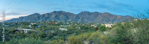 Panorama of a mountainside neighborhood with green plants and trees outdoors at Tucson, Arizona