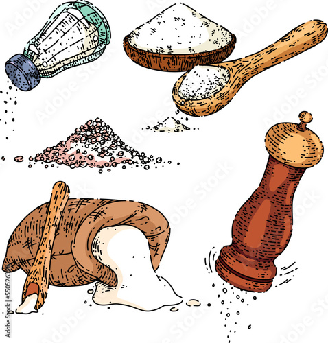 salt spoon set sketch hand drawn vector seasoning, sea powder, spice shaker, food pinch vintage color line illustration