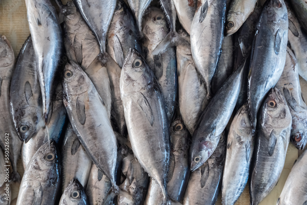 Obraz premium heaps of fresh fish caught by fishermen being sold in traditional markets