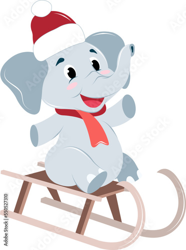 baby elephant in a red New Year's hat and scarf sledding, winter entertainment 