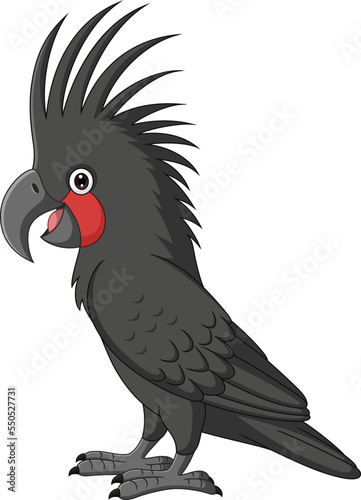 Cartoon Palm Cockatoo on White Background