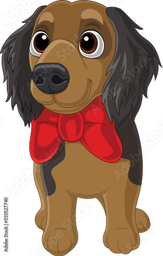Cavalier king charles spaniel with red bow tie