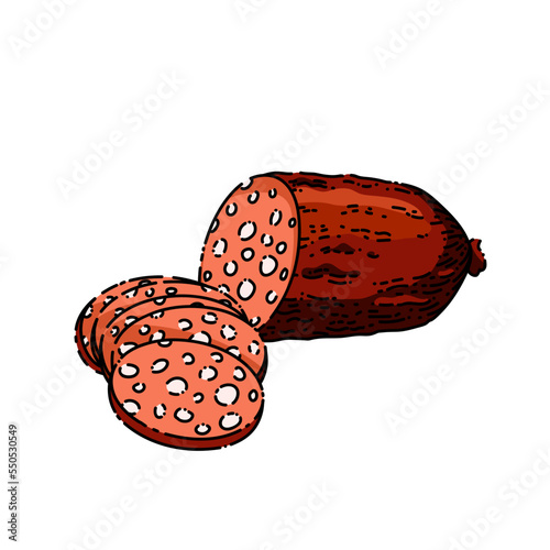 salami sausage hand drawn vector. meat pepperoni, ham slice, delicatessen meat salami sausage sketch. isolated color illustration