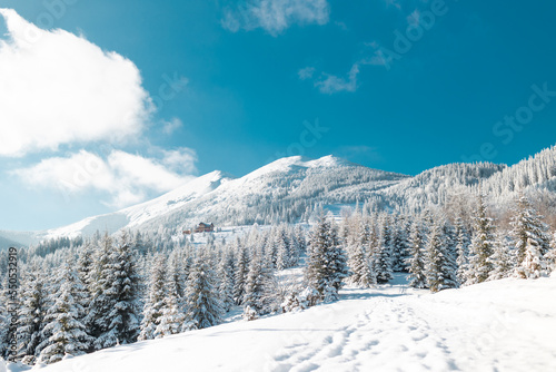 mountain landscape in the winter © zhukovvvlad
