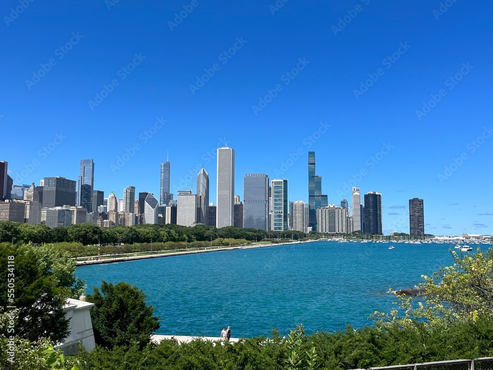 Fototapeta premium city skyline with trees