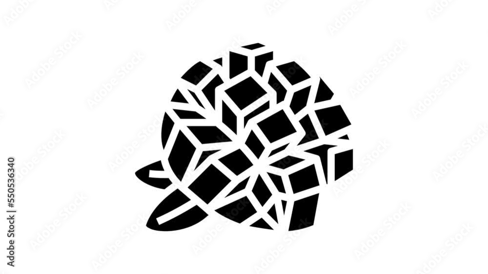 slice mango cube leaf line icon animation slice mango cube leaf line icon animation