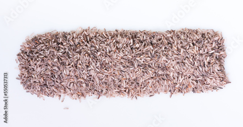 Thai Riceberry rice : Close-up pile of rice called riceberry rice , rice with high nutrients on white background.