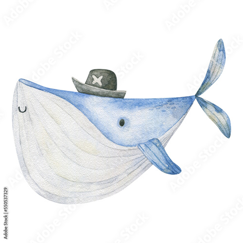 Photography Marine Life Cute element Animal Life in under sea world