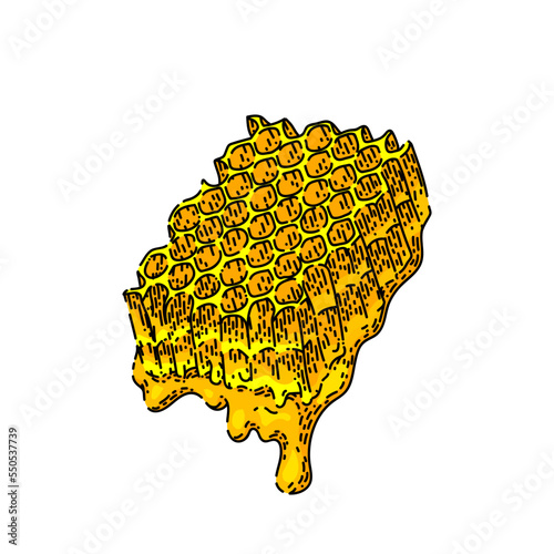honeycomb hand drawn vector. honey beeswax, propolis bee, sweet drop honeycomb sketch. isolated color illustration