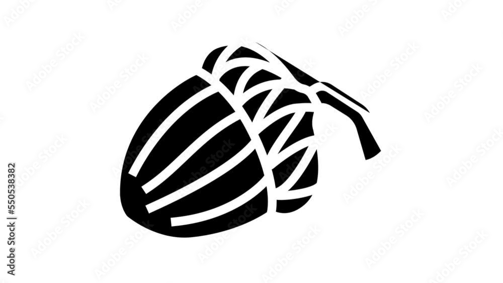 acorn autumn line icon animation acorn autumn line icon animation