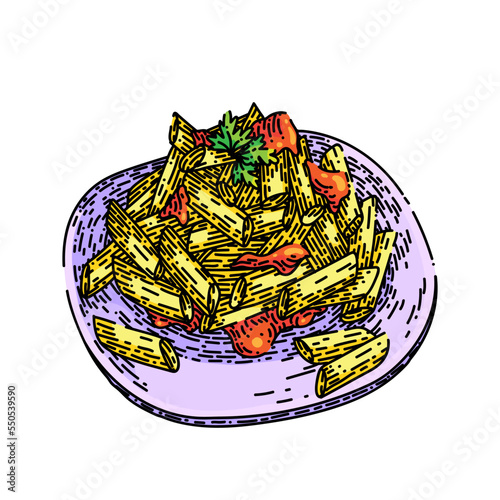 penne pasta hand drawn vector. italian cooked food, penny delicious dish penne pasta sketch. isolated color illustration