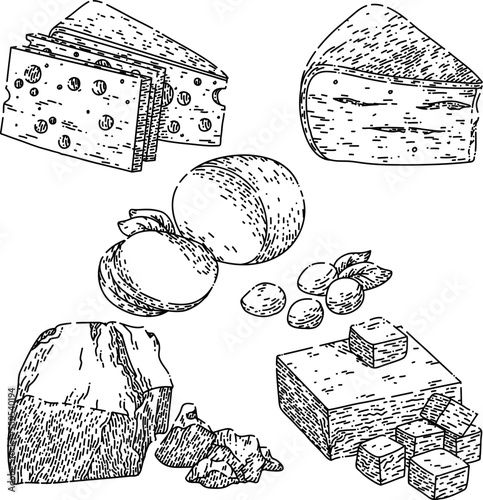 cheese dairy set hand drawn vector. white food, cheddar parmesan swiss gouda mozzarella, slice gourmet delicatessen yellow italian food cheese dairy sketch. isolated black illustration