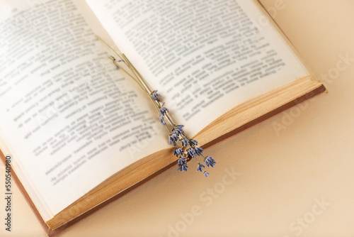 Open book with lavender flowers on beige background, education, learning, study.
