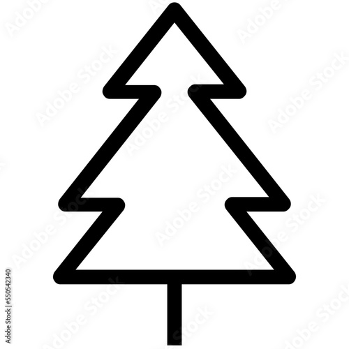 Conifer Tree
