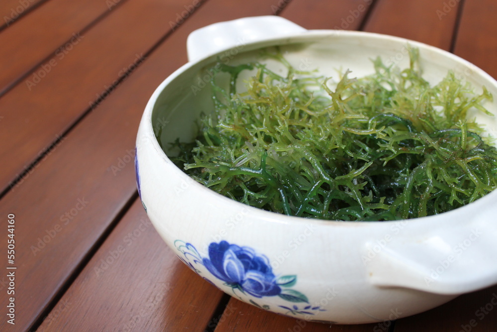 Seaweed (Eucheuma cottonii) in a white bowl with blue floral pattern and wood background. Usually used to make Indonesian traditional snack dodol. Seaweed (Eucheuma cottonii) in a white bowl with blue floral pattern and wood background. Usually used to make Indonesian traditional snack dodol.