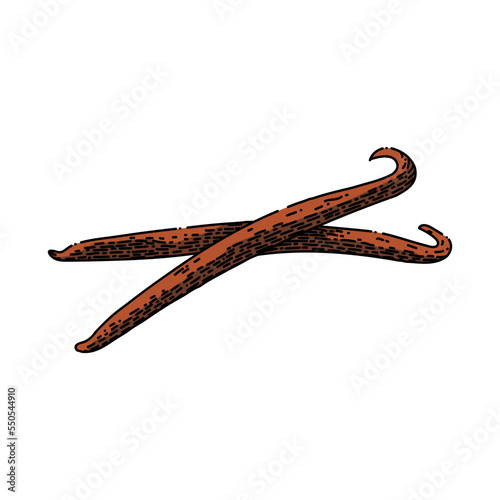 vanilla stick hand drawn vector. flavor ingredient, food white, spice aromatic, aroma pod, bean natural, nature orchid, brown blossom vanilla stick sketch. isolated color illustration