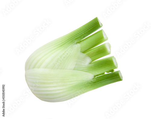 Fresh fennel isolated on transparent png