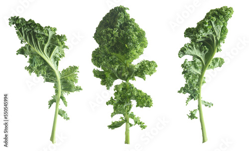 Photos Isolated of three green kale leaves. Healthy food