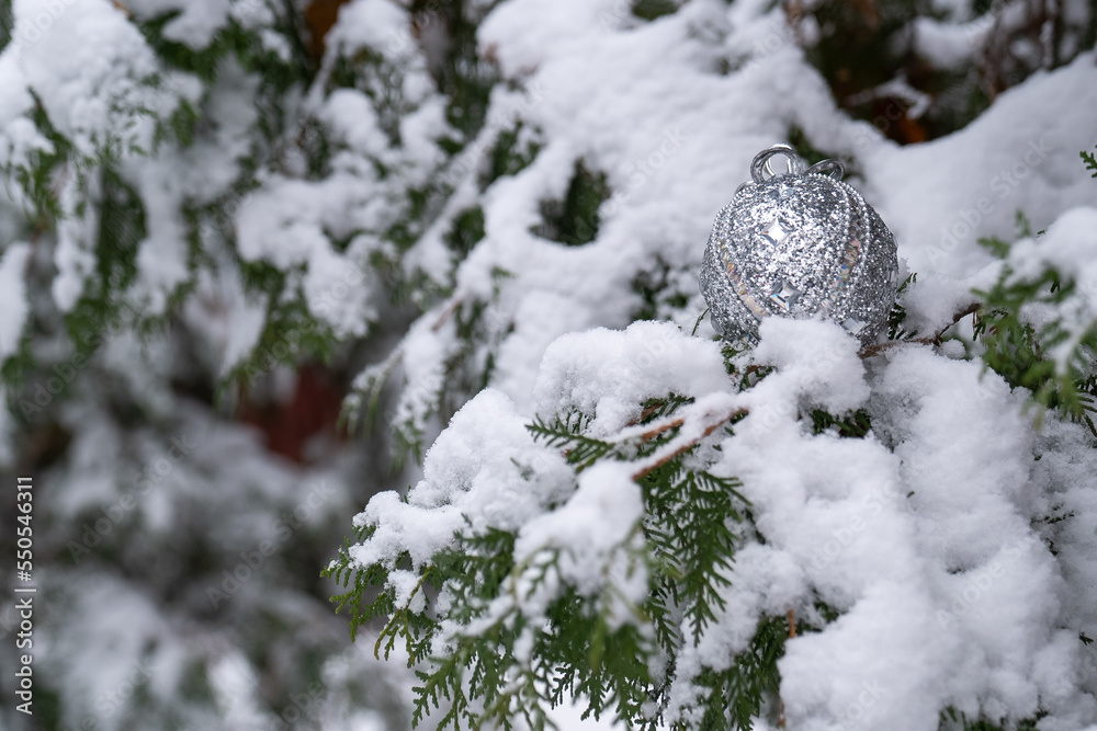 blur, snow-covered christmas ball on tree, silver bauble sphere, new year holiday decoration. Fir tree brunch in winter forest, festive season, copy space 