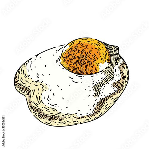 fried egg hand drawn vector. white yolk yellow food, healthy cook, round, protein meal fried egg sketch. isolated color illustration