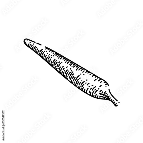 weed smoke hand drawn vector. cannabis marjihuana, joint people, cbd drug cigarette weed smoke sketch. isolated black illustration