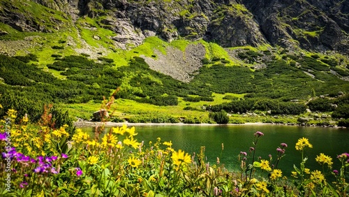 Fototapeta Naklejka Na Ścianę i Meble -  Dolina Wielicka Tatry Słowackie - Gerlach
