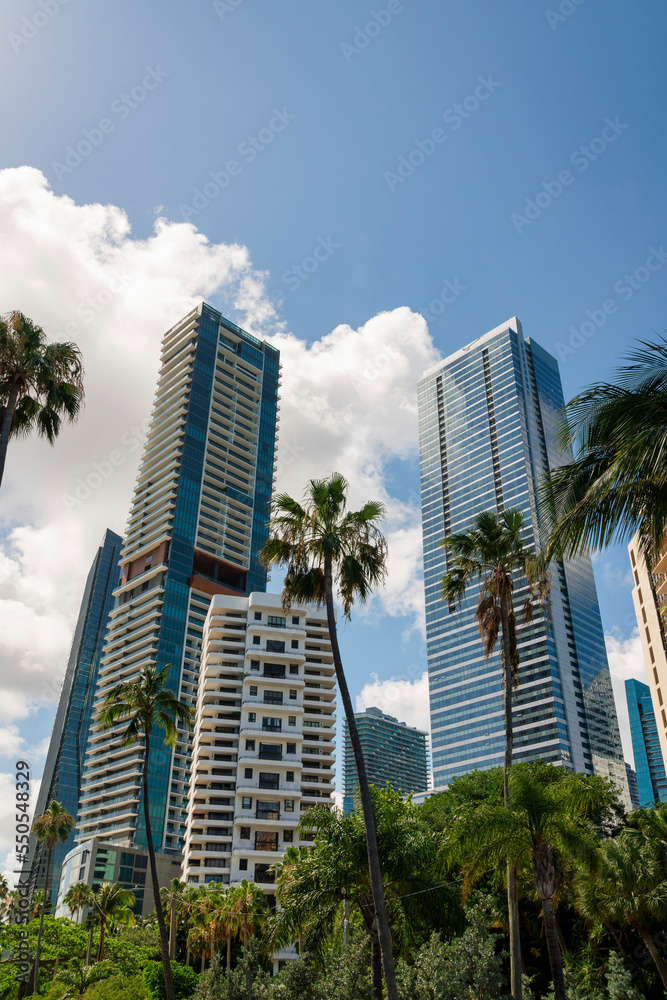 Condominiums with trees at the front in a low angle view at Miami, Florida Condominiums with trees at the front in a low angle view at Miami, Florida