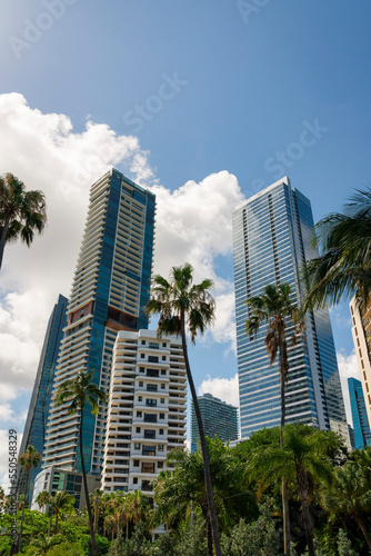 Condominiums with trees at the front in a low angle view at Miami, Florida © Jason