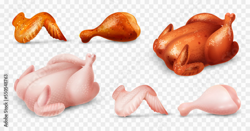 Realistic Chicken Set