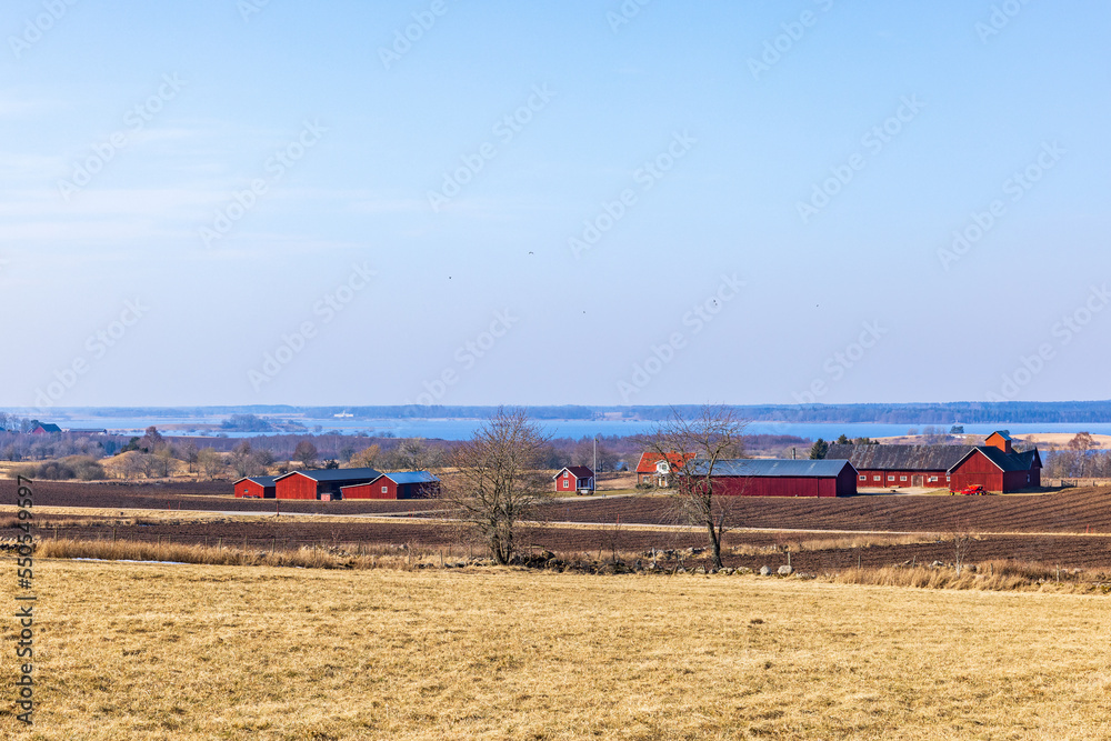 Fototapeta premium Farm in the countryside on a beautiful spring day