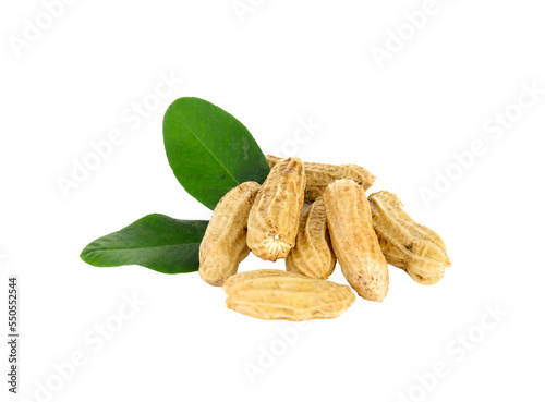 Photography Peanut  and leaves on transparent png