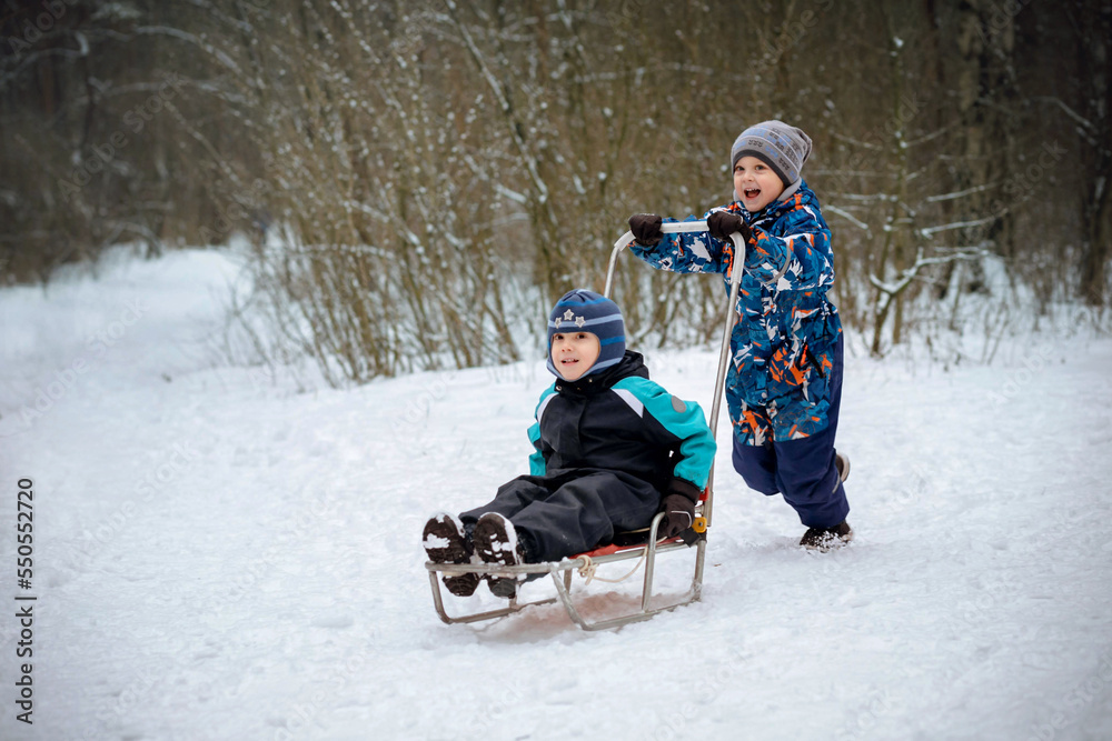 cute caucasian boy ride his brother on sleigh in winter park