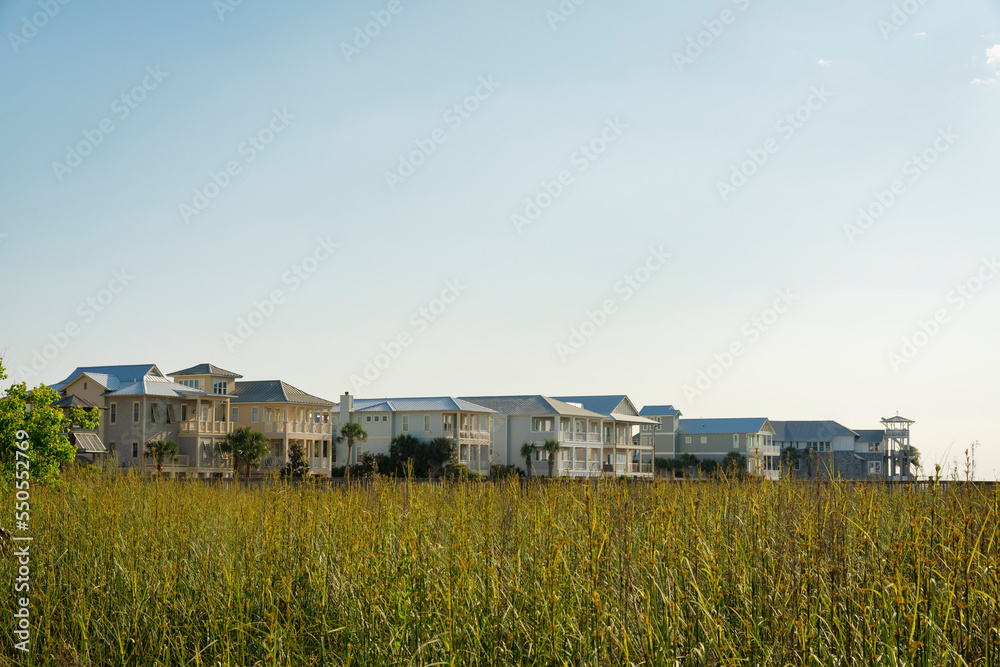 Field of tall grasses near the residential area at Destin, Florida Field of tall grasses near the residential area at Destin, Florida