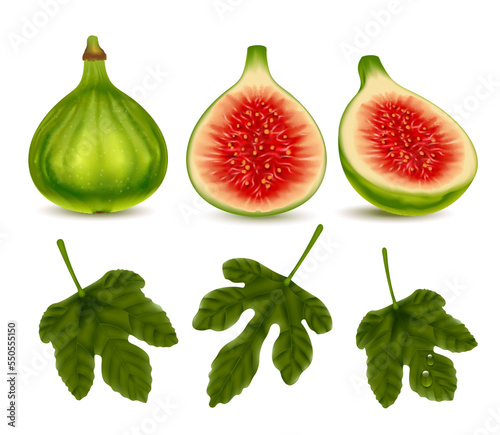 Green Fig Realistic Set