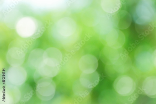 green bokeh background,Abstract background, lighting on nature, green blur lighting, green nature bokeh background.