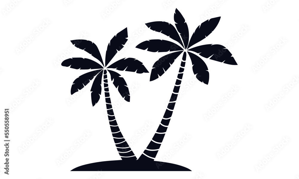 Isolated Palm Tree on the white background.