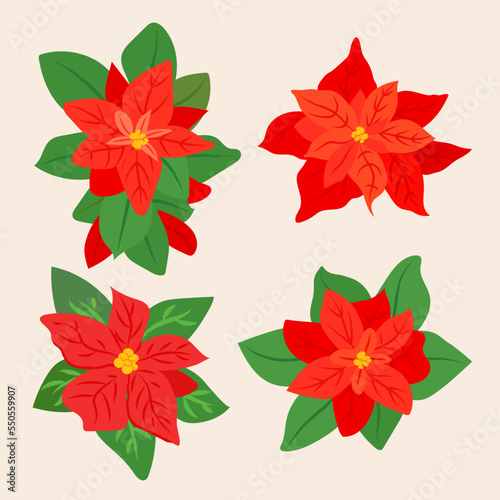 Christmas poinsettia flower vector set. Winter holiday plant isolated on beige background. Home floral decoration illustration