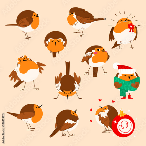 Robin bird vector set. Cute bird character in different poses. Winter holiday Vector cartoon illustration for stickers, prints, clothing, packaging